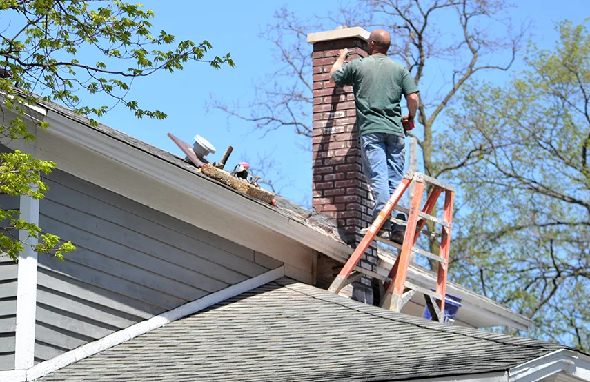 Chimney & Fireplace Inspections Services in East Northport, NY